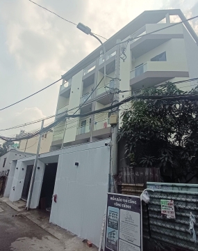 Hạng mục thi công sơn giả đá Hòa Bình (TP Thủ Đức)